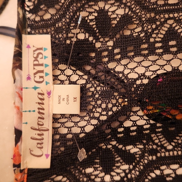 California Gypsy - Picture 6 of 6